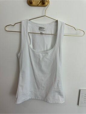 Aritzia top